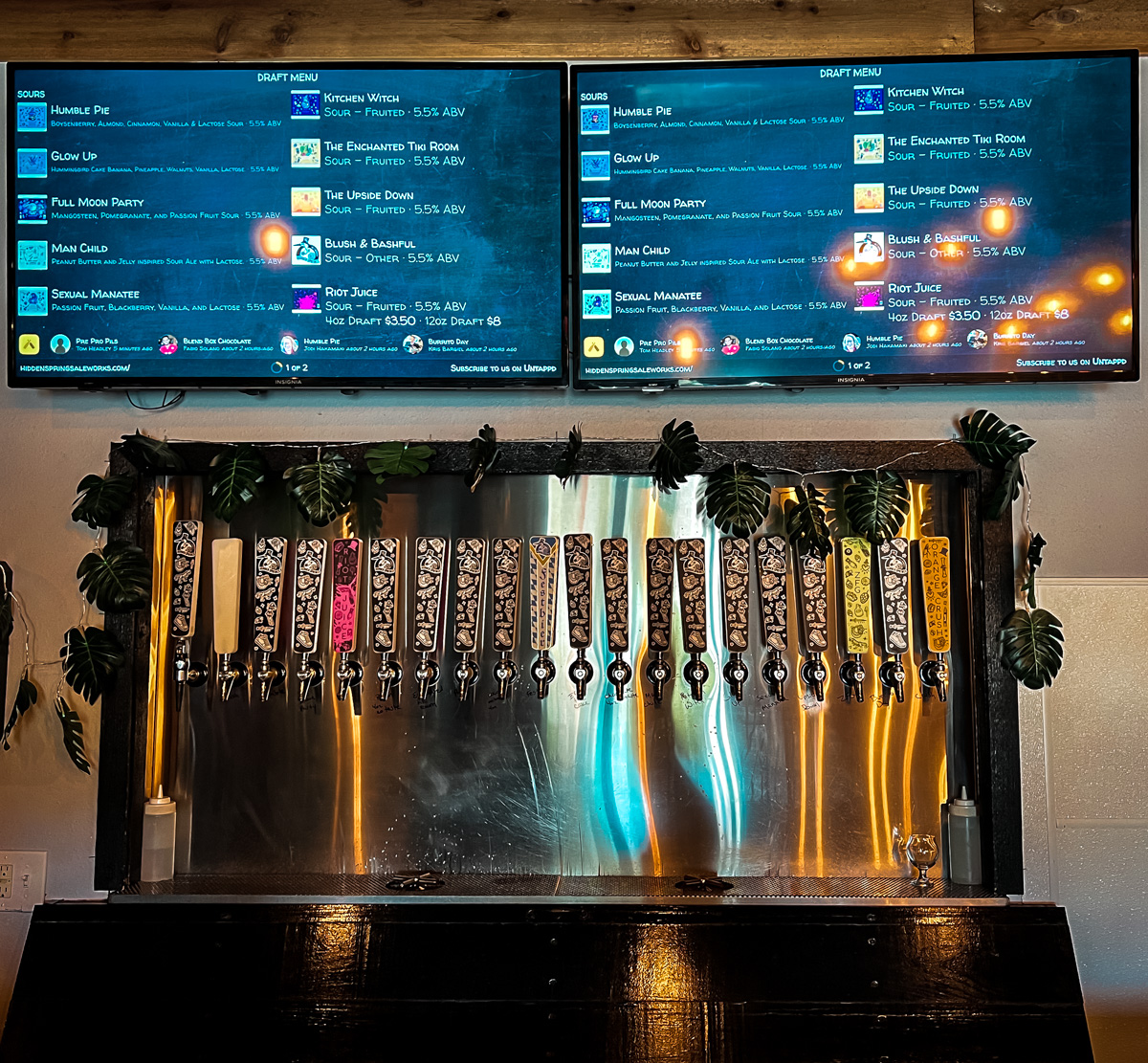 Beers on Tap - Hidden Springs Ale Works | ViewFromALove