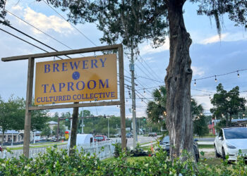 Cultured Collective Brewing Co. (Review) | ViewFromALove