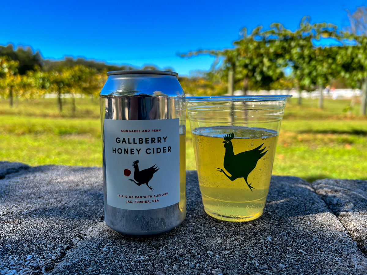 Gallberry Honey Cider - Congaree and Penn | ViewFromALove