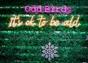 Odd Birds Cocktail Lounge & Kitchen (Review) | ViewFromALove