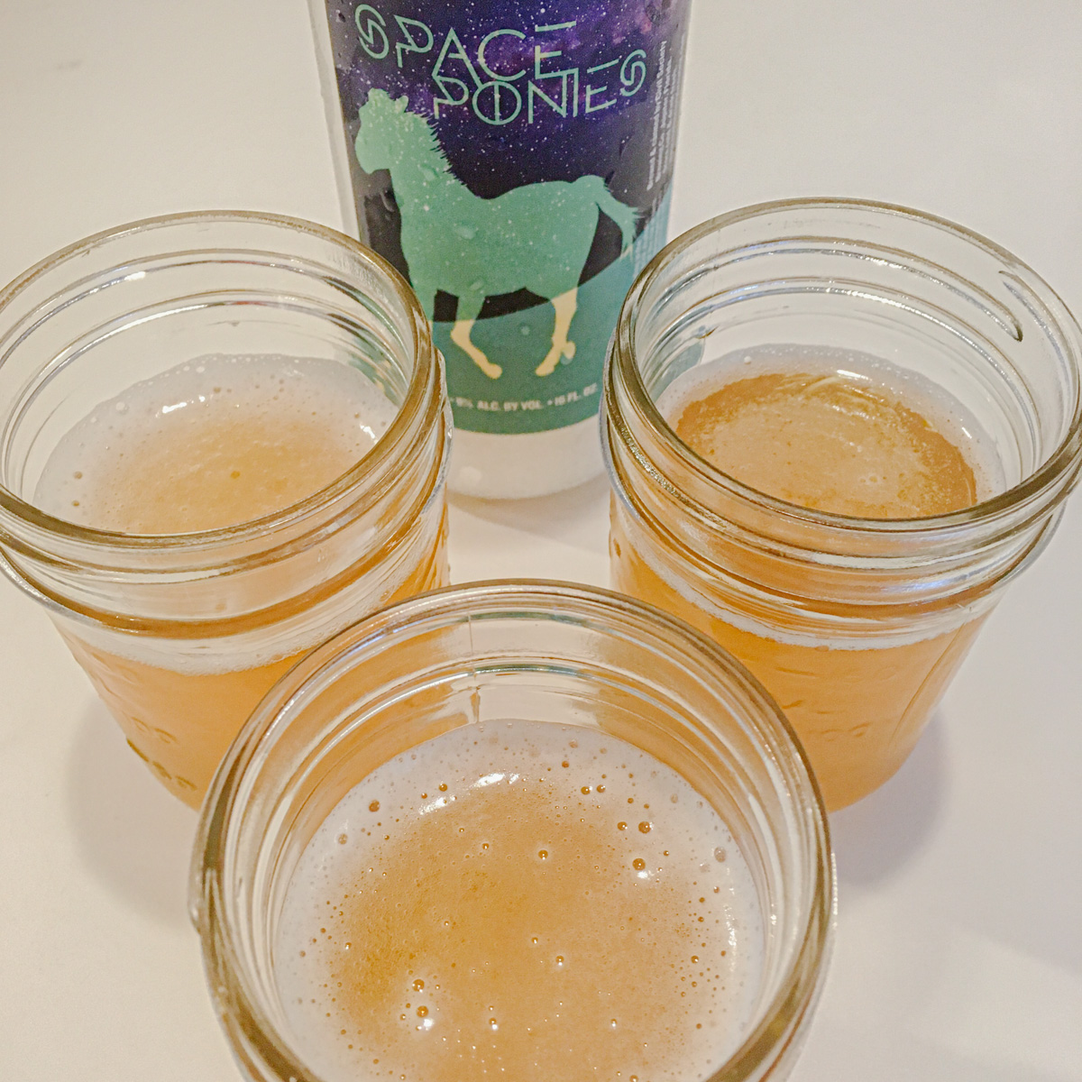 Space Ponies - Civil Society Brewing | ViewFromALove