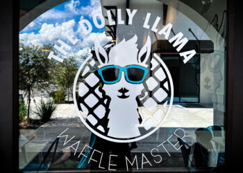 The Dolly Llama Waffle Master (Review) | ViewFromALove