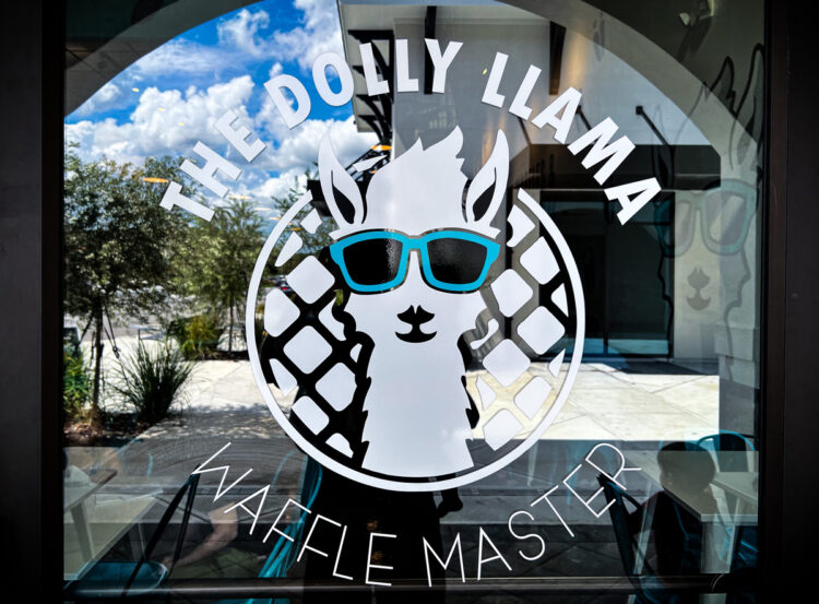 The Dolly Llama Waffle Master (Review) | ViewFromALove