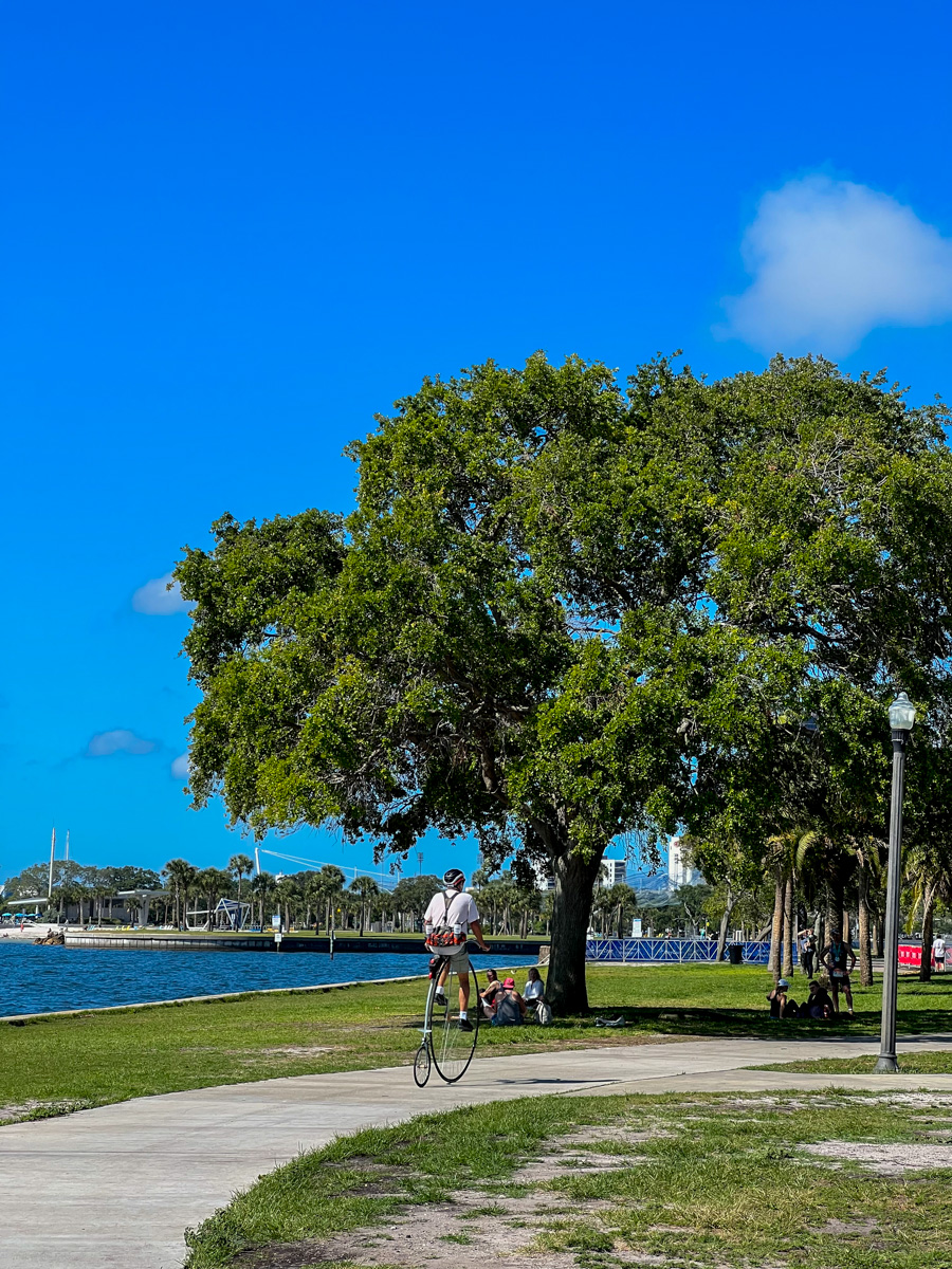 Vinoy Park Bike Trail - St. Petersburg, Florida