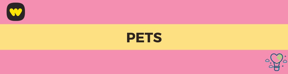 Pet products on Whatnot including dog, cat, and fish supplies
