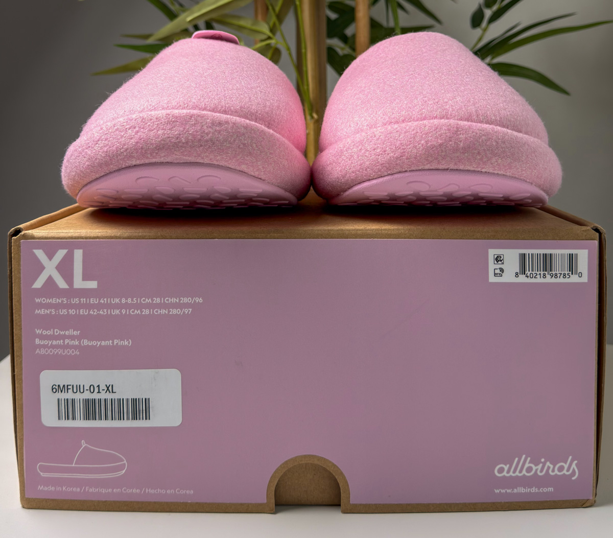 Whatnot Sneakers purchase from OhioThrifters featuring brand new AllBirds slippers