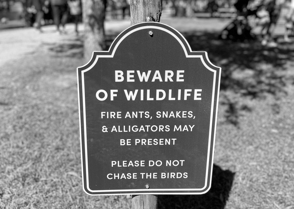 Beware of Wildlife - Congaree and Penn | ViewFromALove